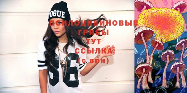 хмурый Фурманов