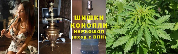 шишки Хадыженск